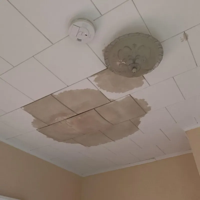 Ceiling Water Damage Repair in Westmoreland, NH