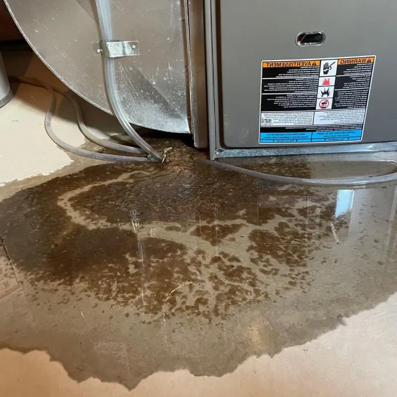 Pipe Burst and Leak Restoration in Westmoreland, NH